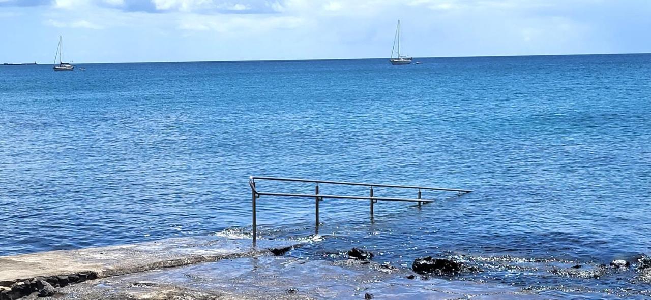 Loro Verde Playa Honda  Luaran gambar