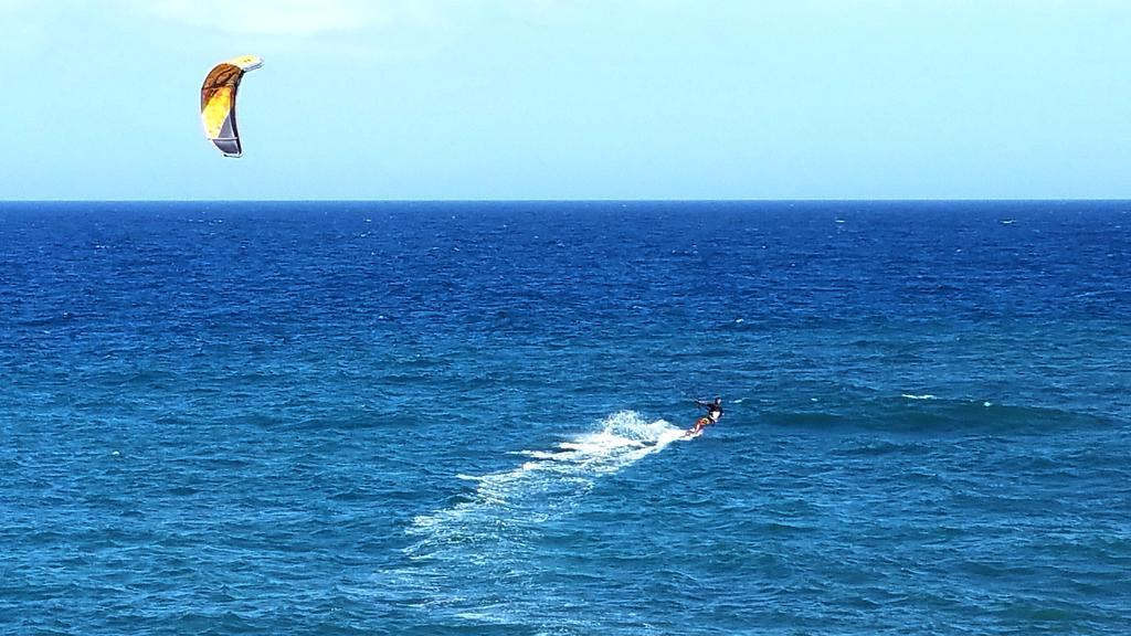 Loro Verde Playa Honda  Luaran gambar
